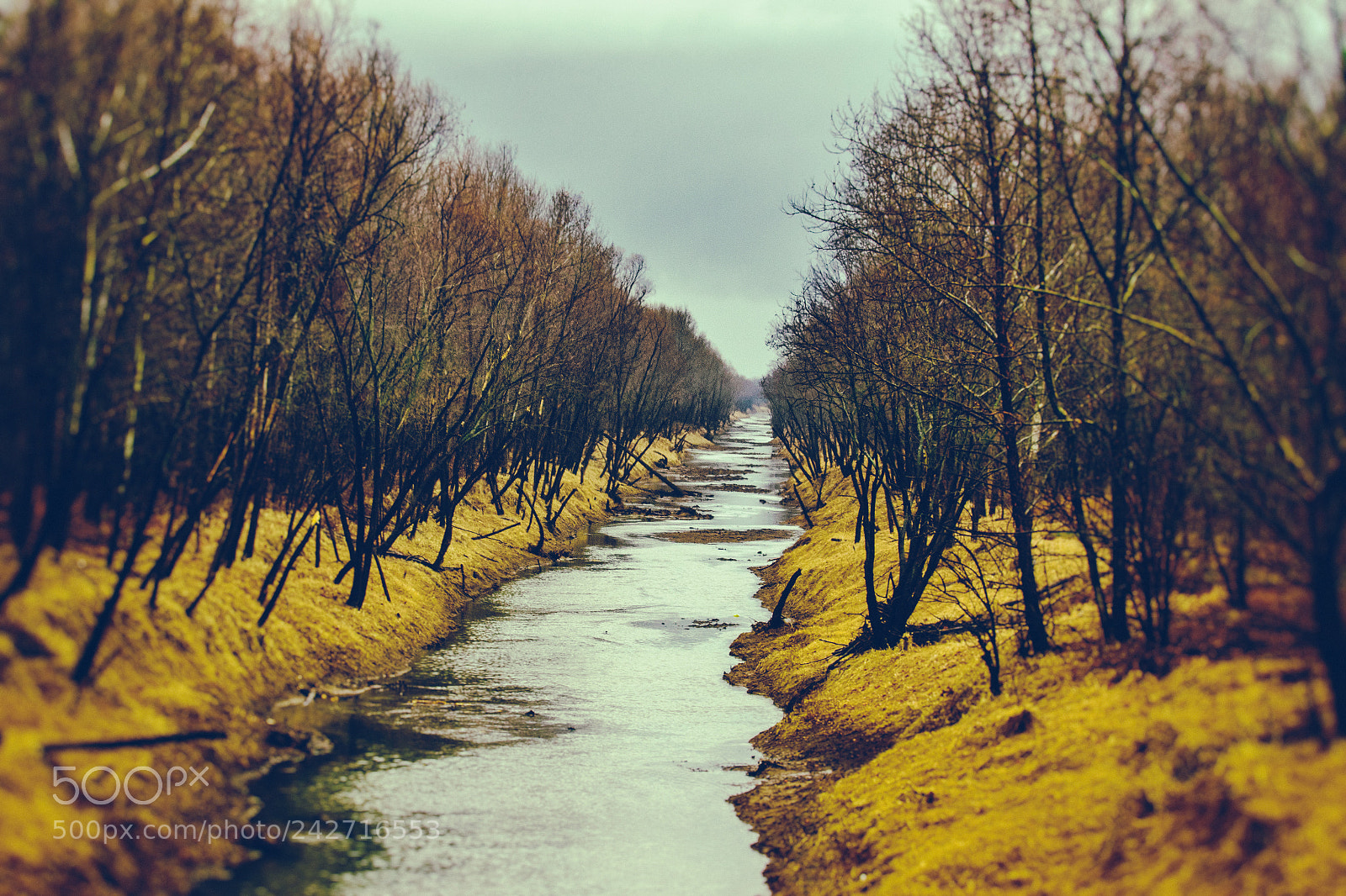 Canon EOS 7D Mark II sample photo. South fork saline creek photography