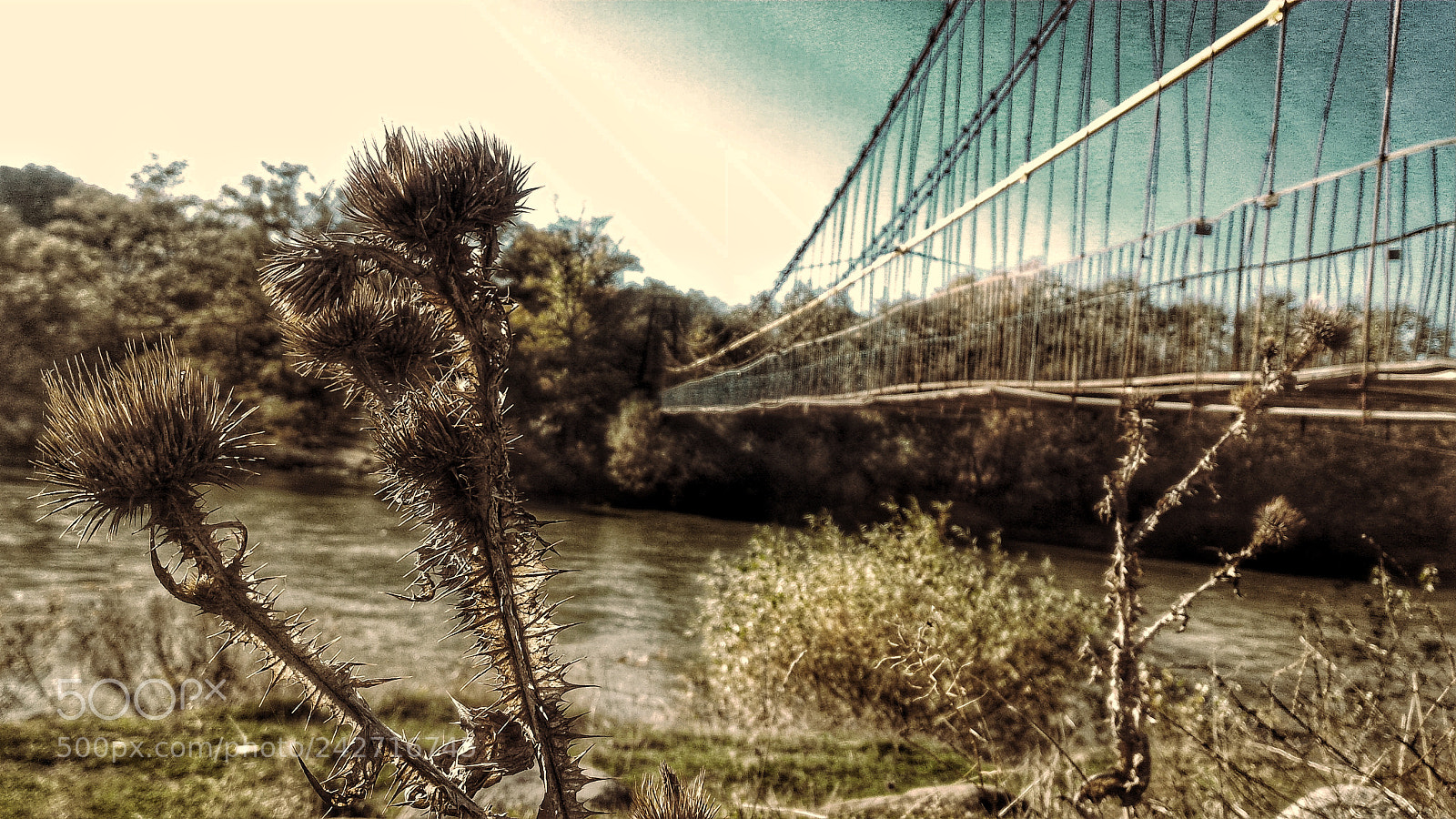 ASUS ZenFone 2 (ZE551ML) sample photo. Bridge photography