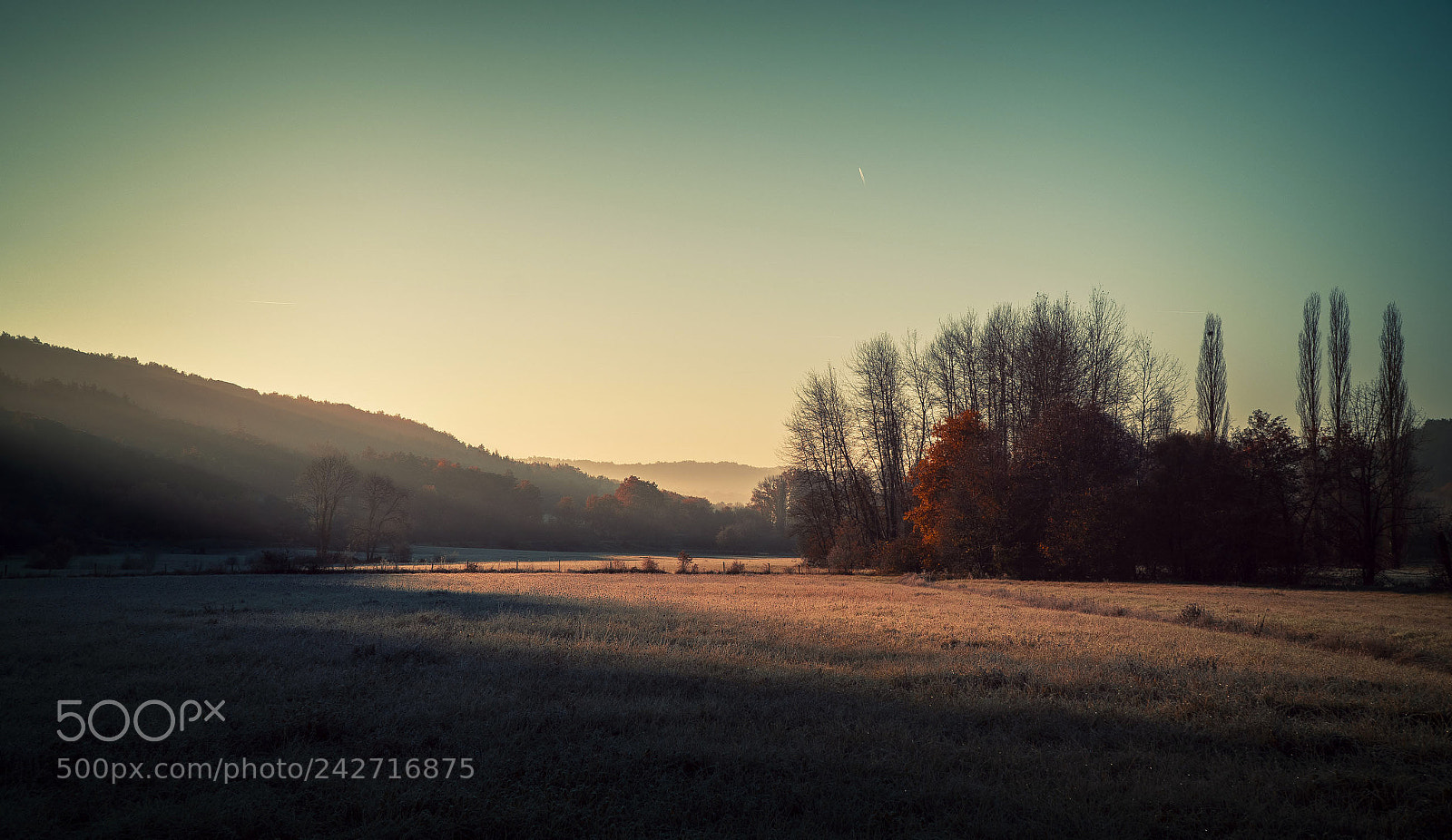 Sony a6500 sample photo. Sunrise on fields photography
