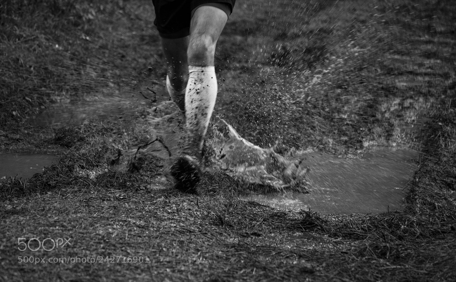 Nikon D3300 sample photo. "running threw the mud" photography