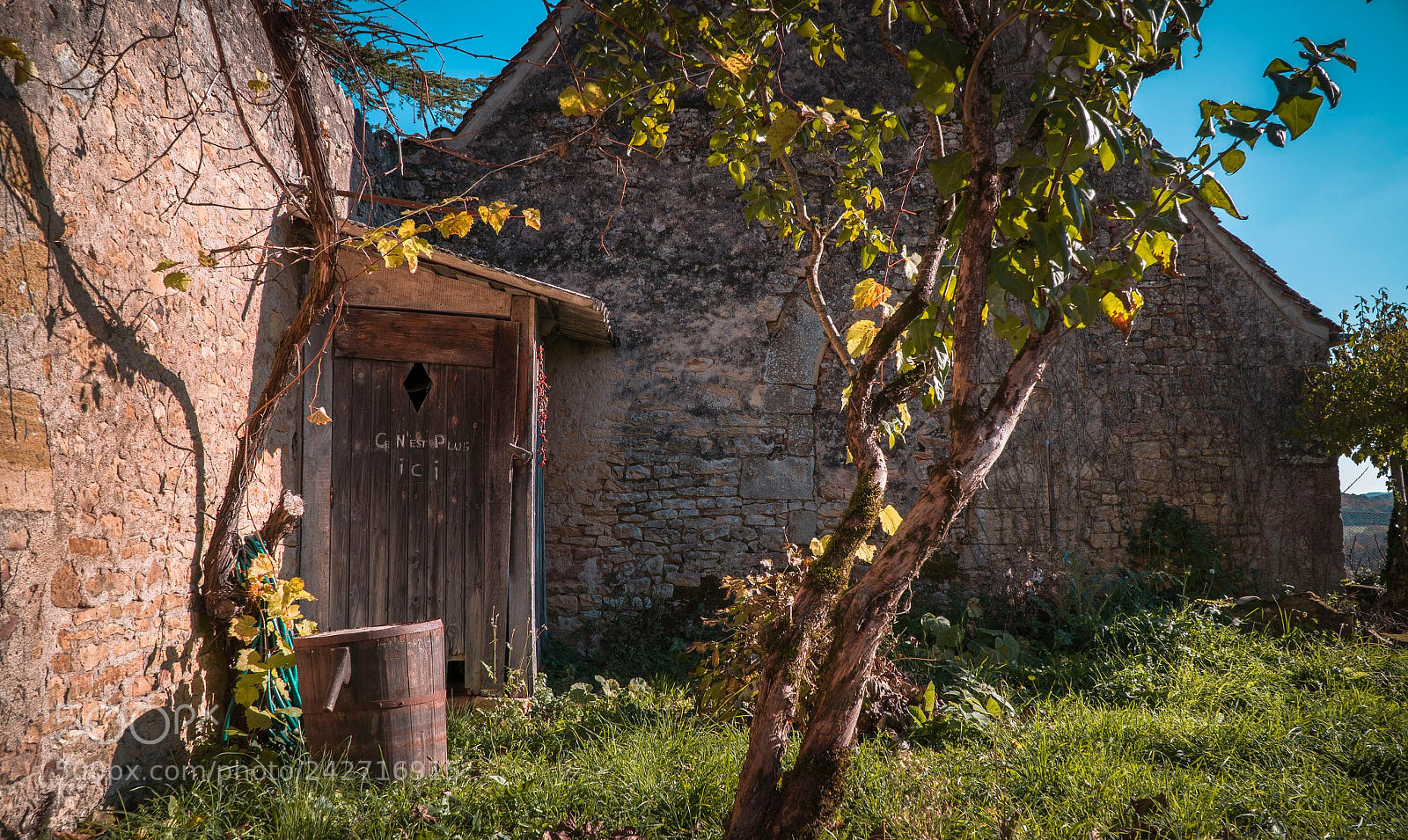 Sony a6500 sample photo. Little spot photography
