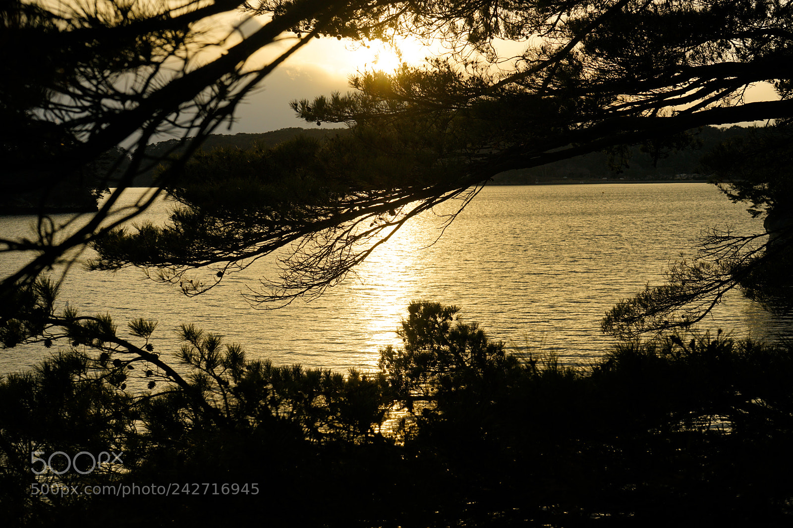 Sony a7 II sample photo. 松島sunset photography