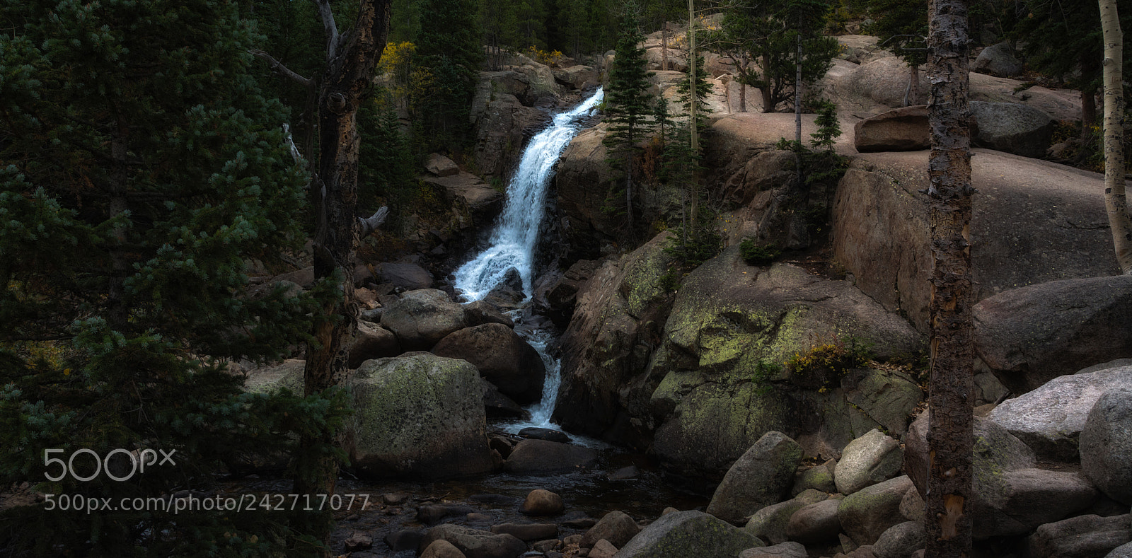 Nikon D7100 sample photo. Alberta falls photography