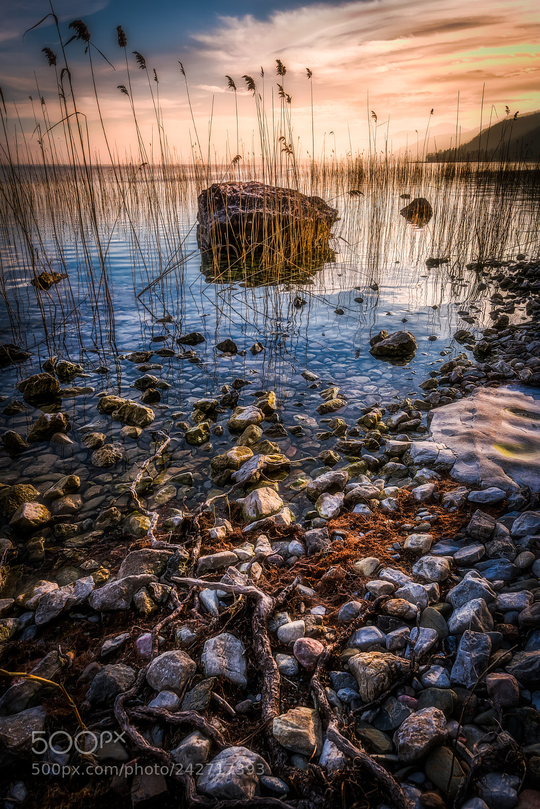 Nikon D850 sample photo. The shoreline of lake photography