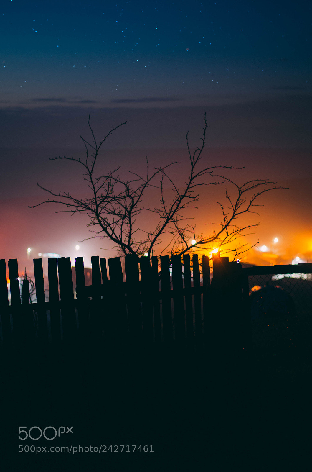 Nikon D5100 sample photo. Night lights photography