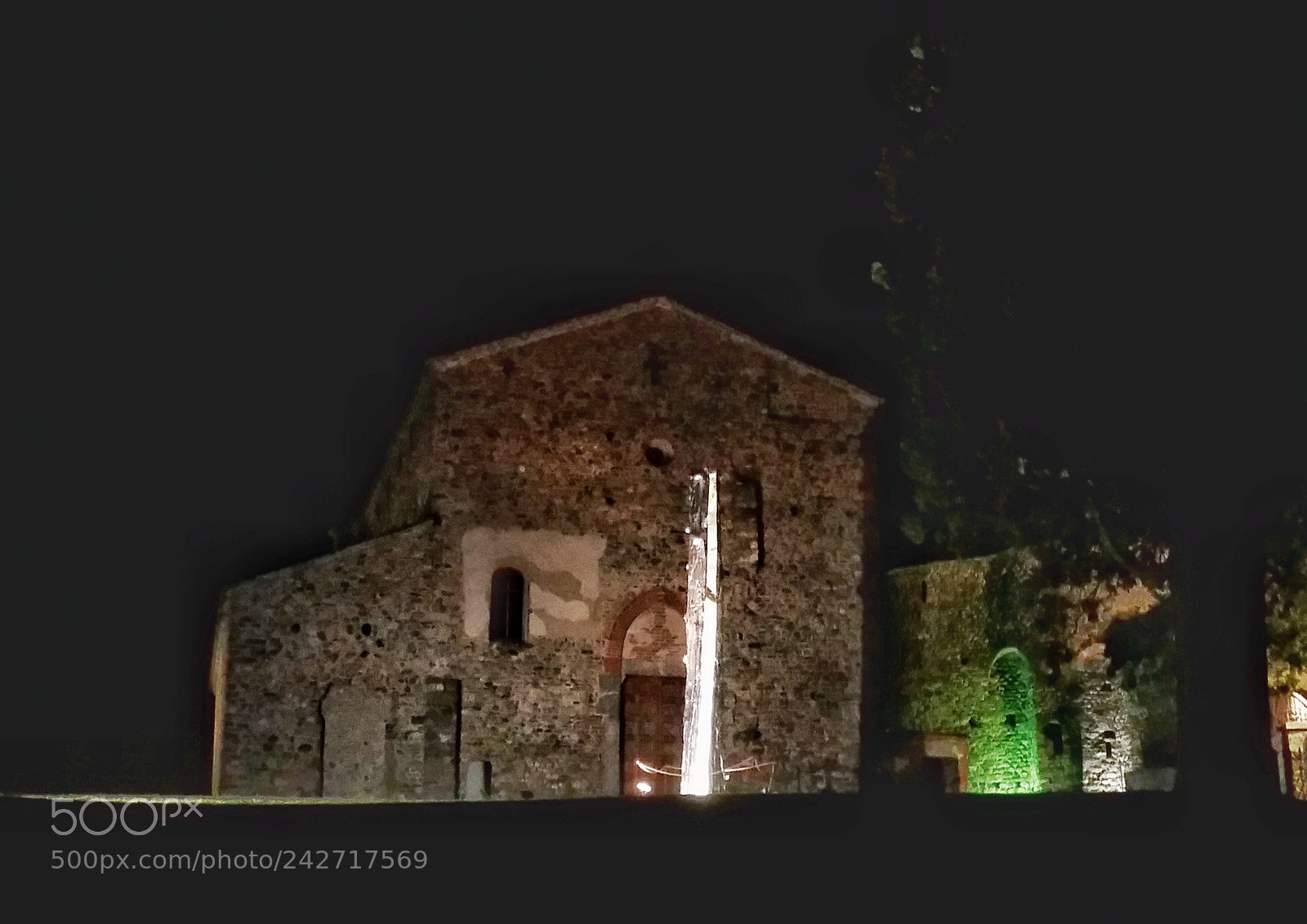 Samsung Galaxy S5 sample photo. L'albero di goethe photography
