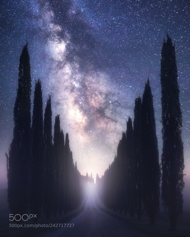 Nikon D810 sample photo. A mysterious night in photography