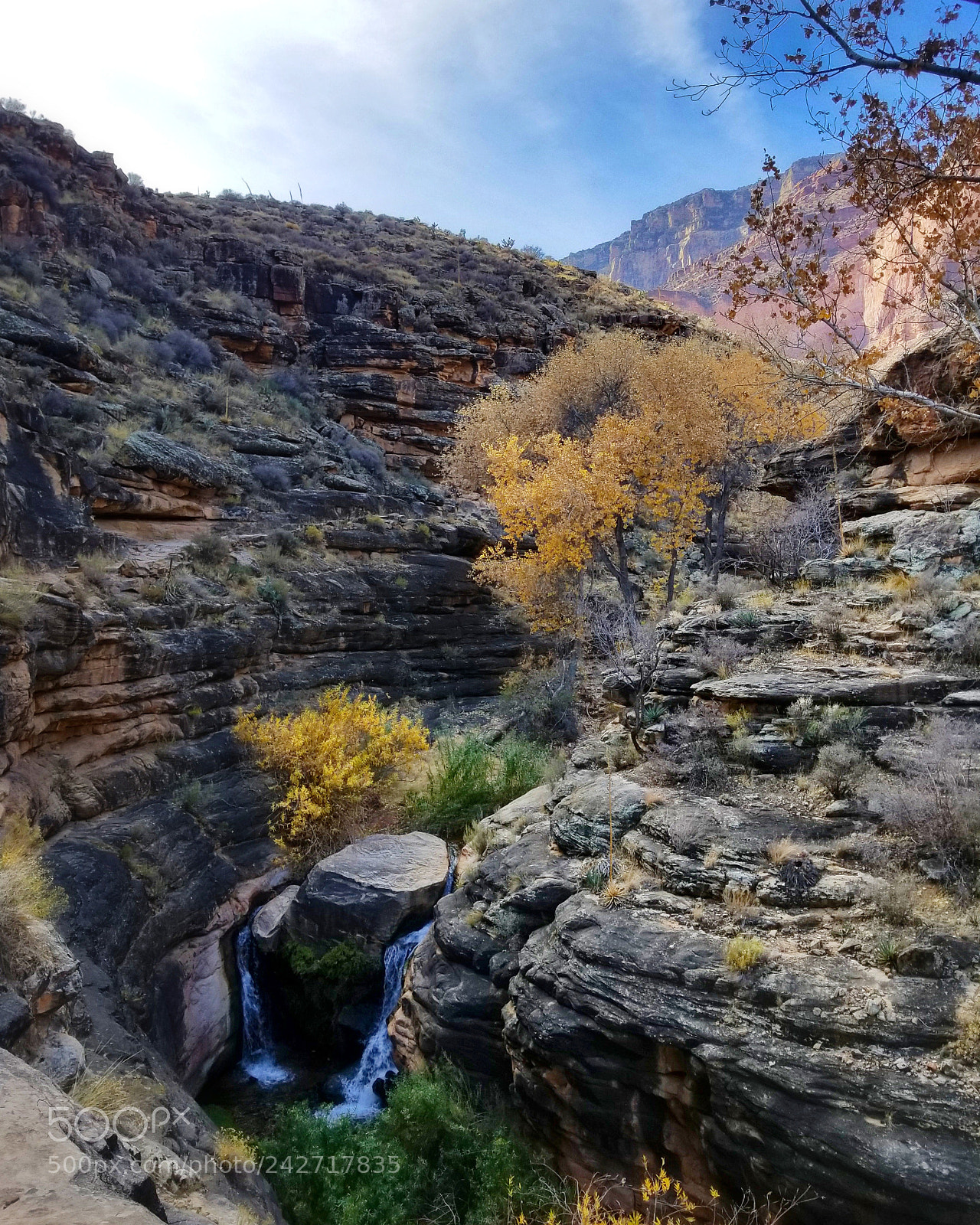 Samsung Galaxy S8 sample photo. Grand canyon below the photography