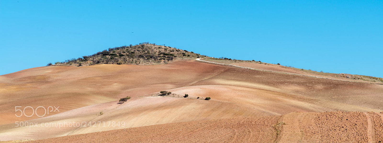 Nikon D800 sample photo. Landscape in the south photography