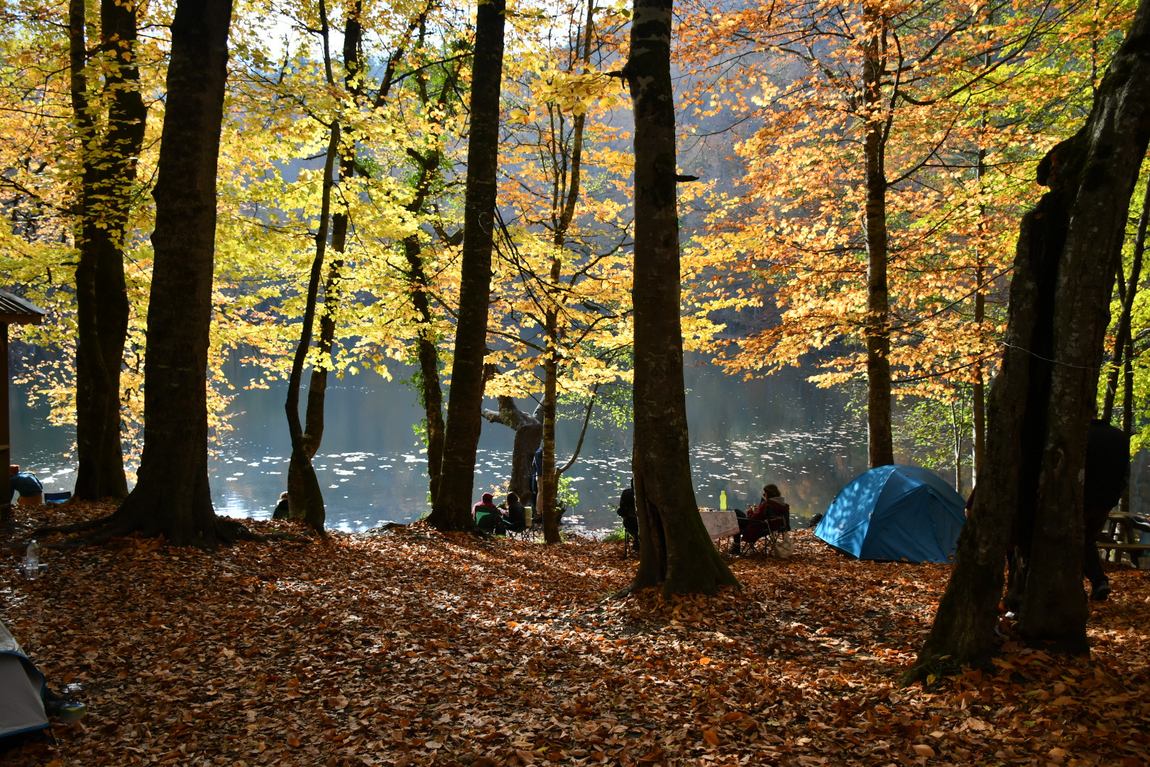 Nikon D7500 sample photo. Camping photography