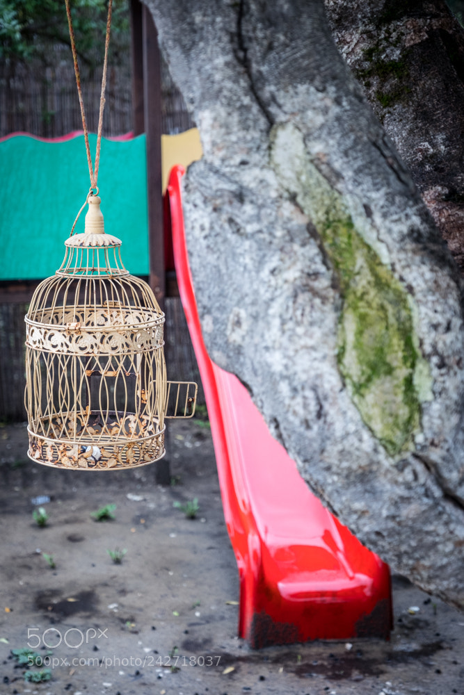 Fujifilm X-T2 sample photo. Red slide cage photography
