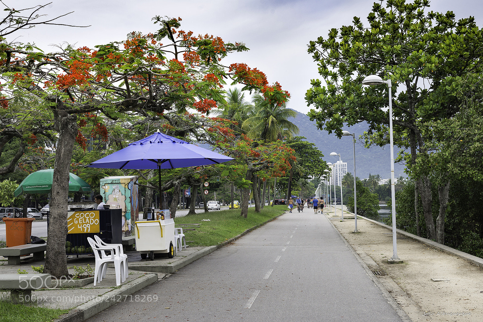 Nikon D600 sample photo. Coco gelado photography
