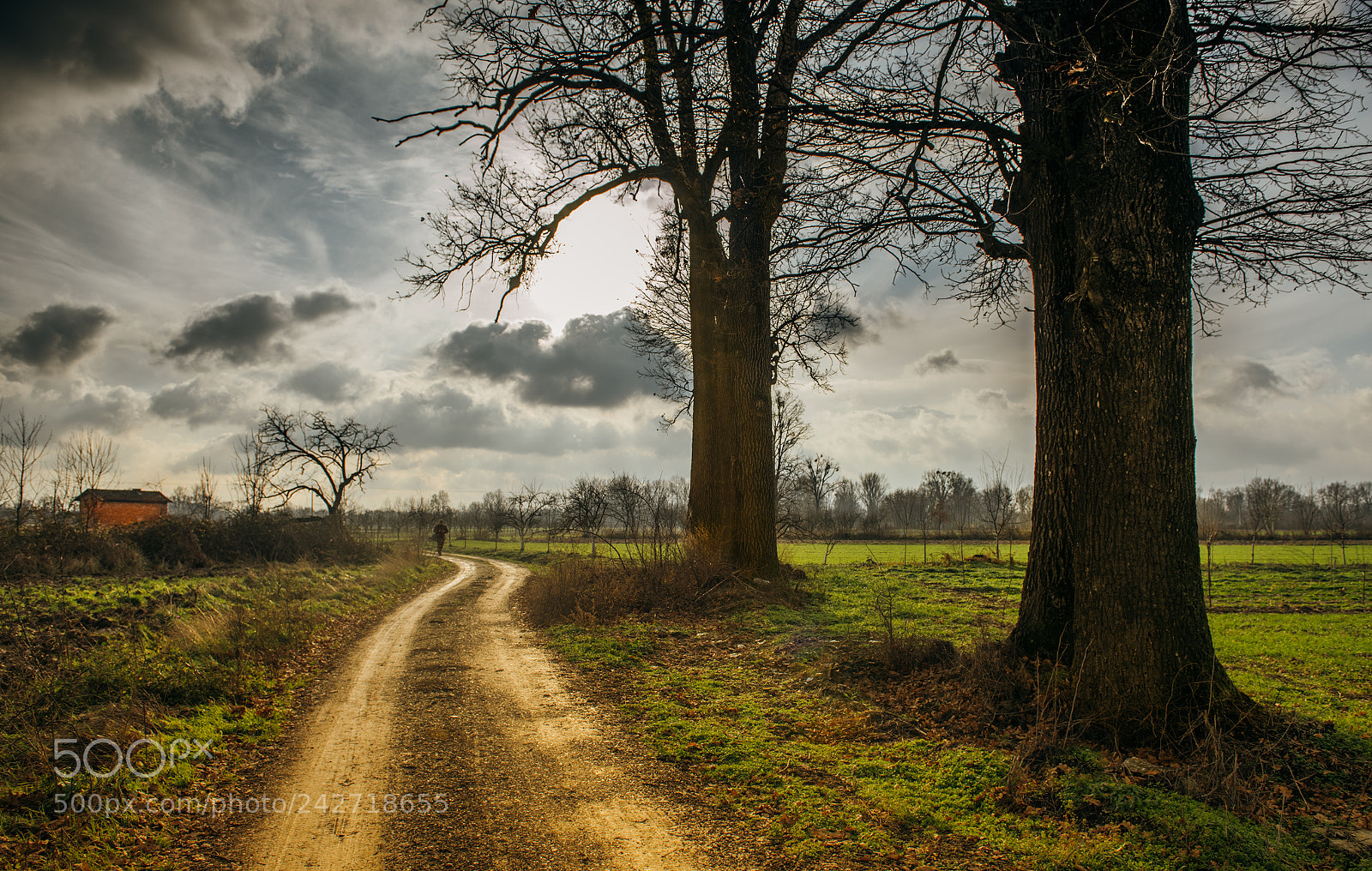 Nikon D810 sample photo. Road to the clouds photography
