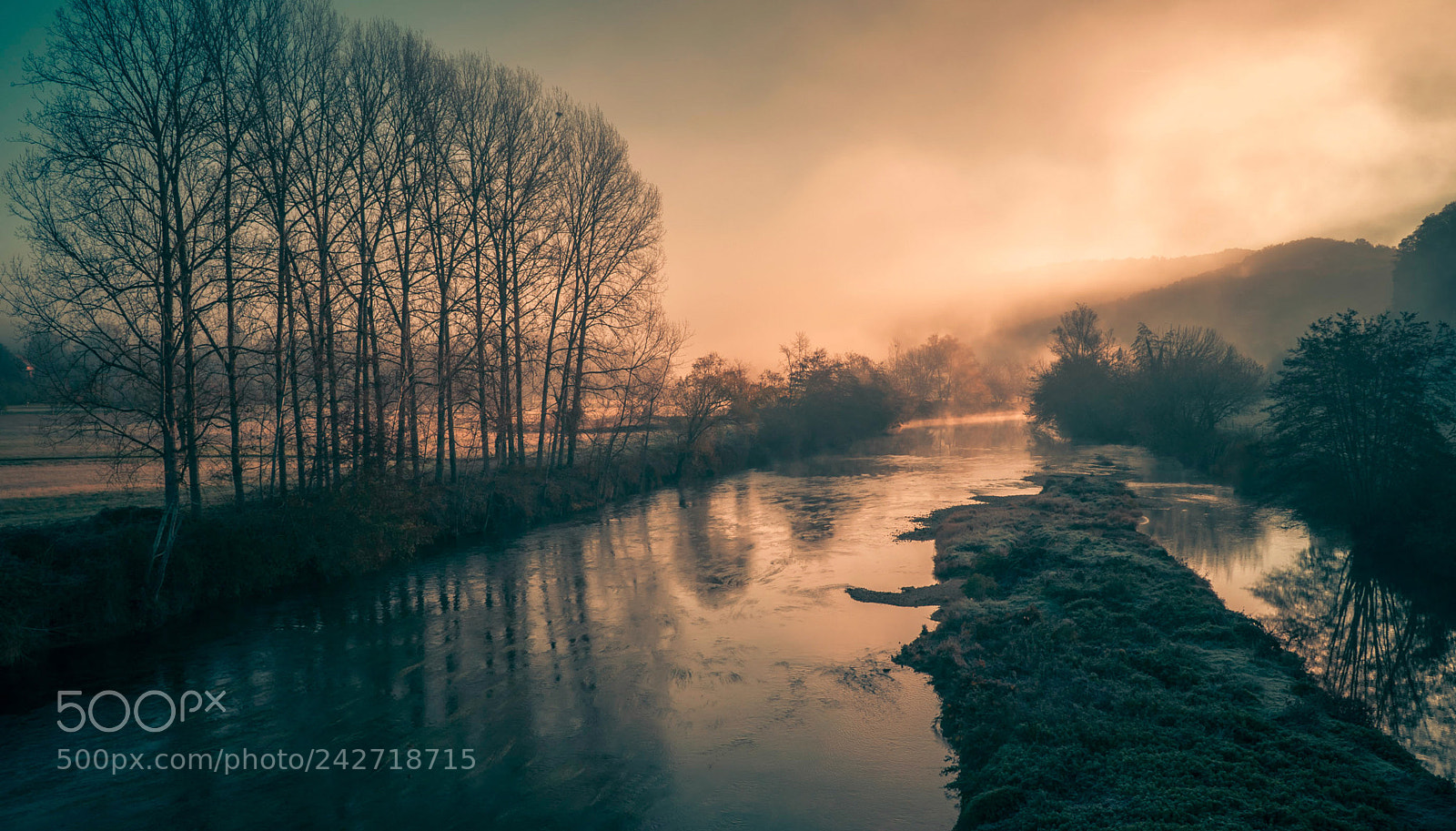 Sony a6500 sample photo. Mist with birds photography