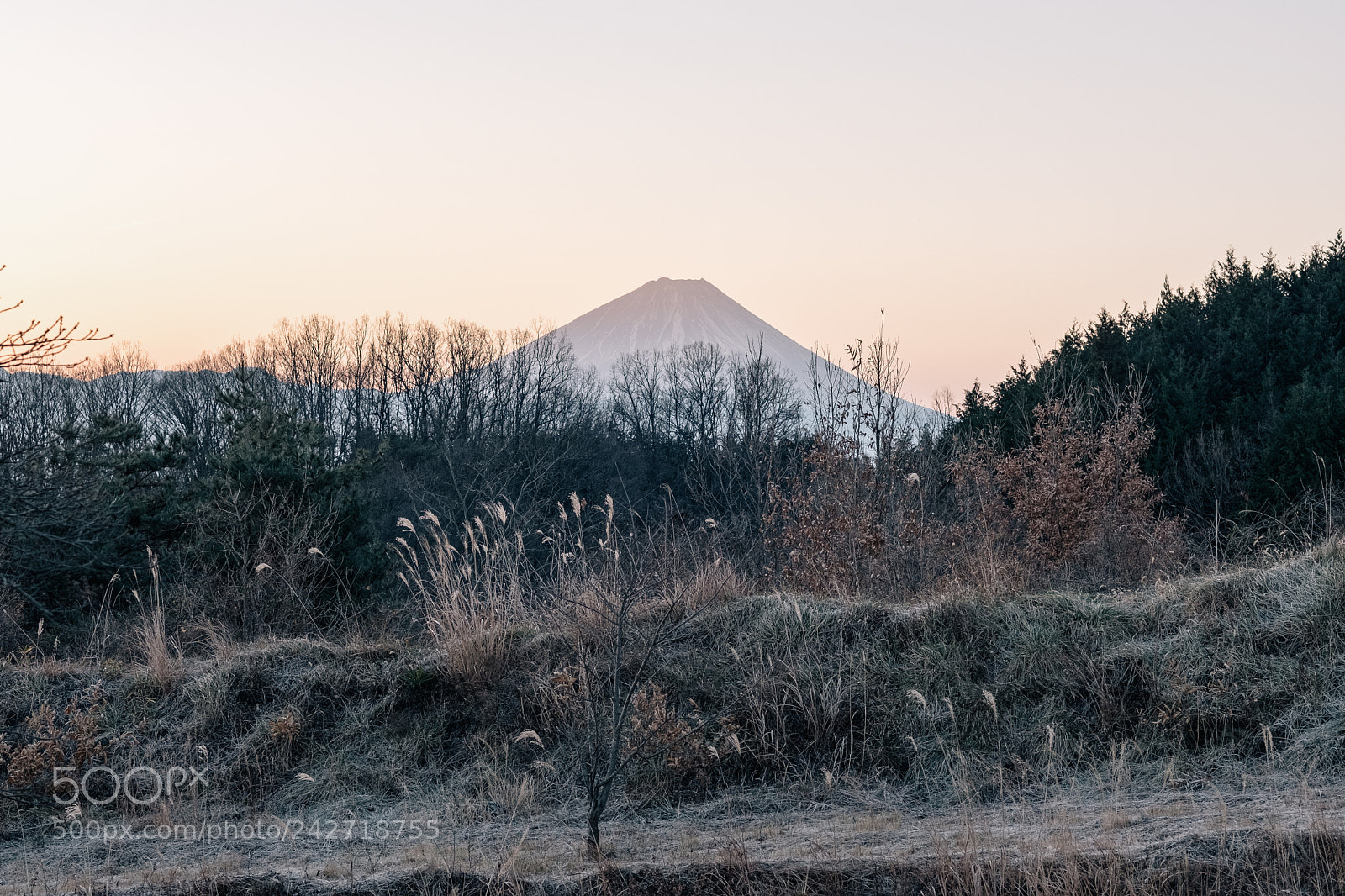 Fujifilm X-T2 sample photo. Untitled photography