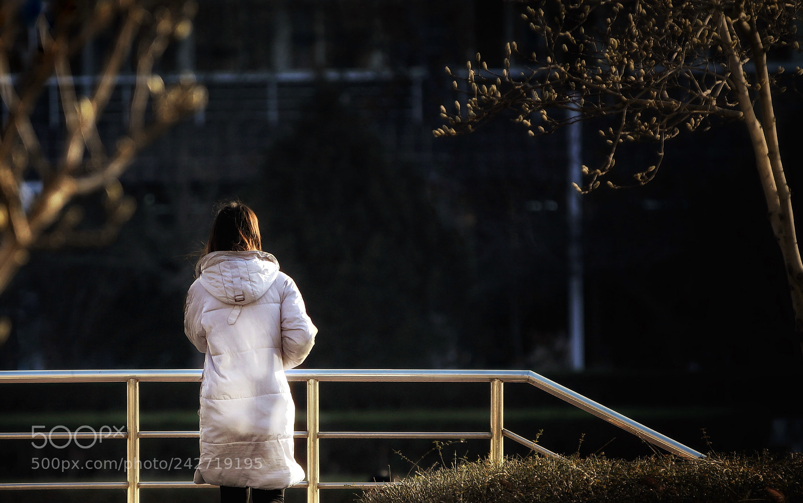 Canon EOS 50D sample photo. 光线的抚摸 photography