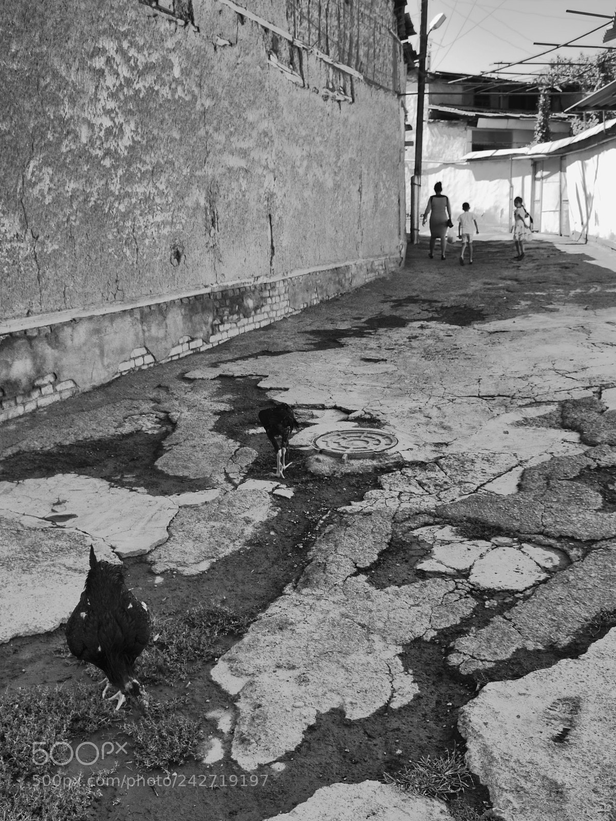 Olympus E-520 (EVOLT E-520) sample photo. Tashkent city streets photography