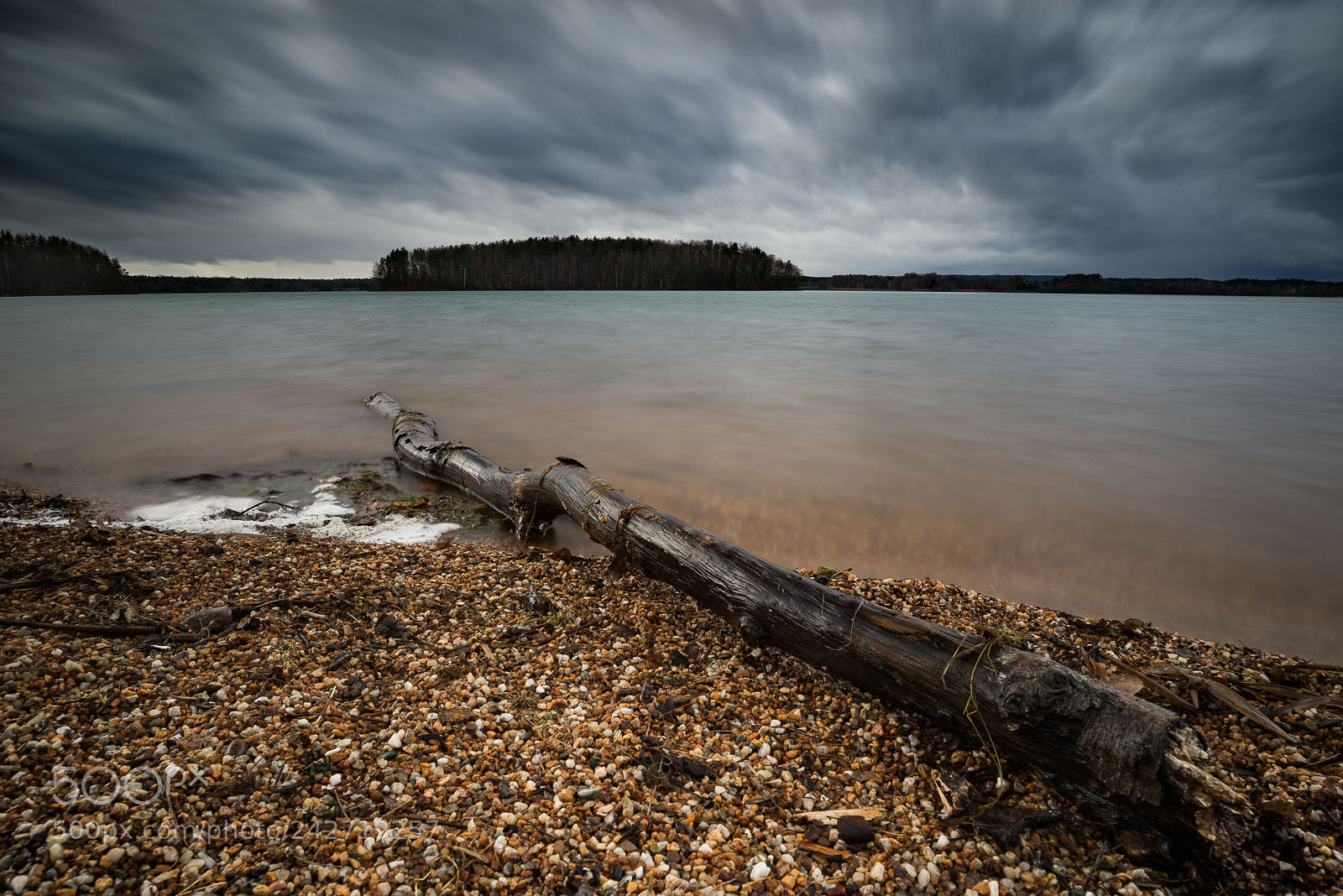 Nikon D610 sample photo. Steinberger see photography