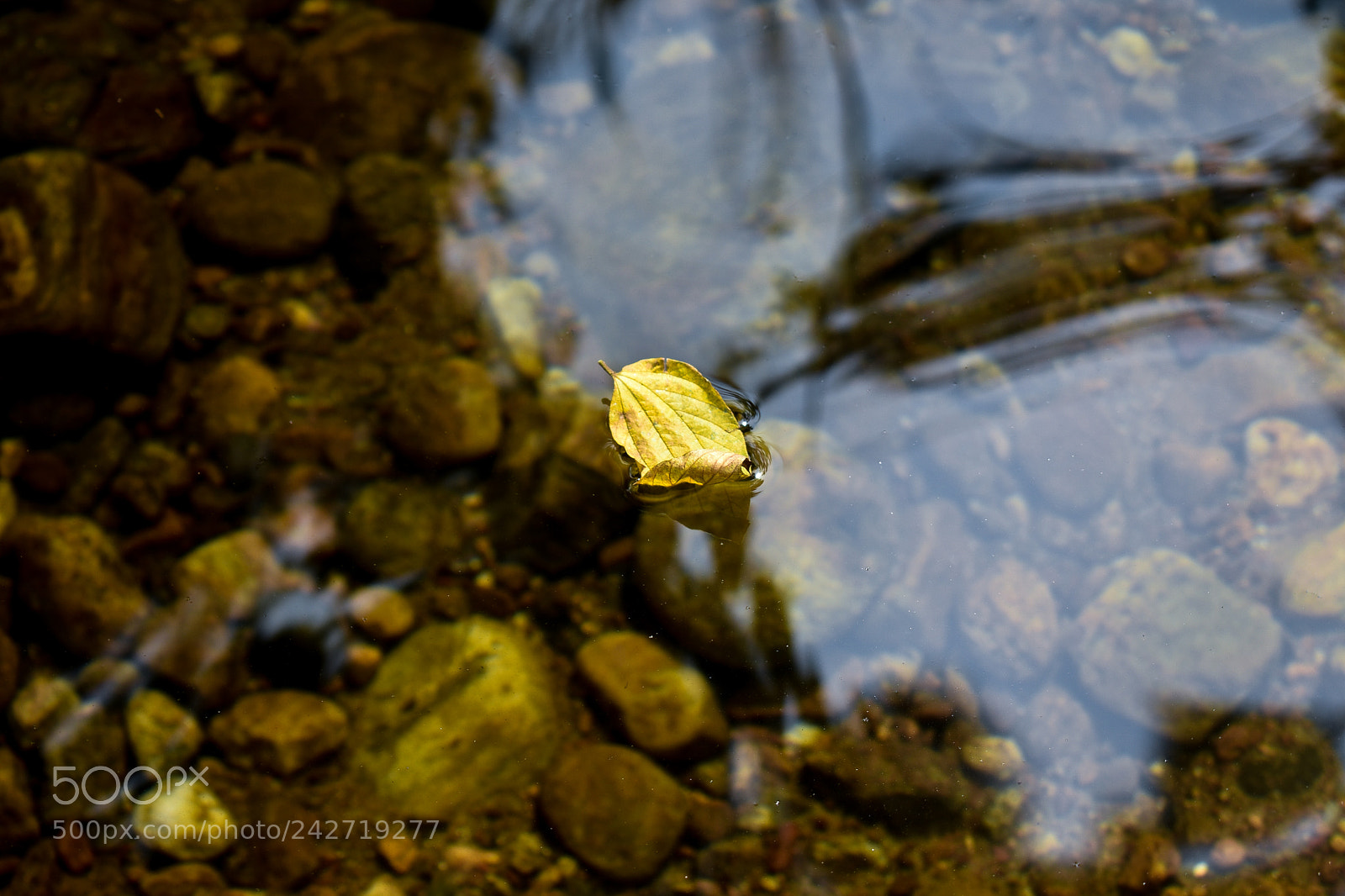 Nikon D3400 sample photo. Flow photography