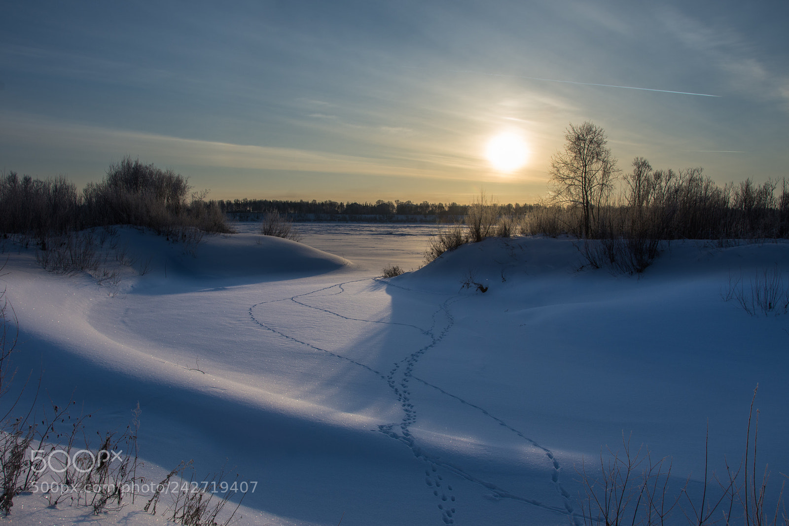 Nikon D7200 sample photo. Beautiful day. photography