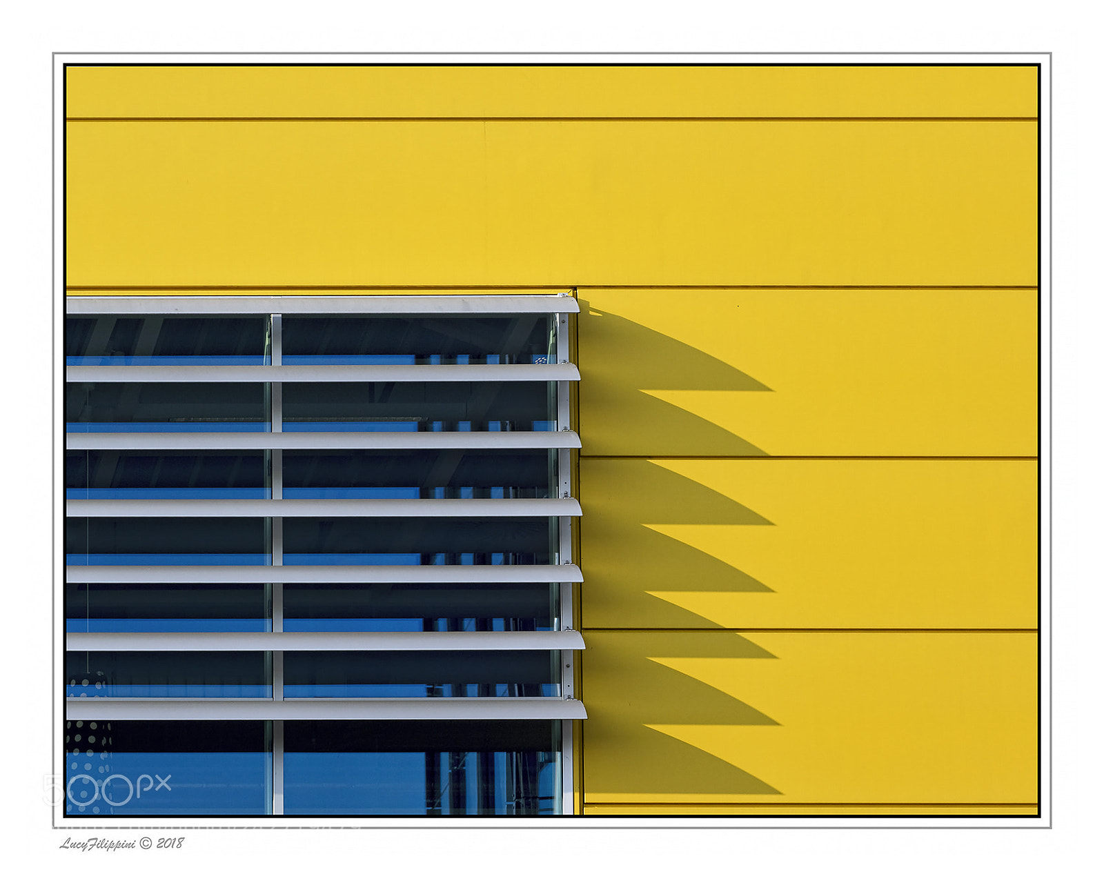 Olympus OM-D E-M1 sample photo. Yellow with shadow... photography