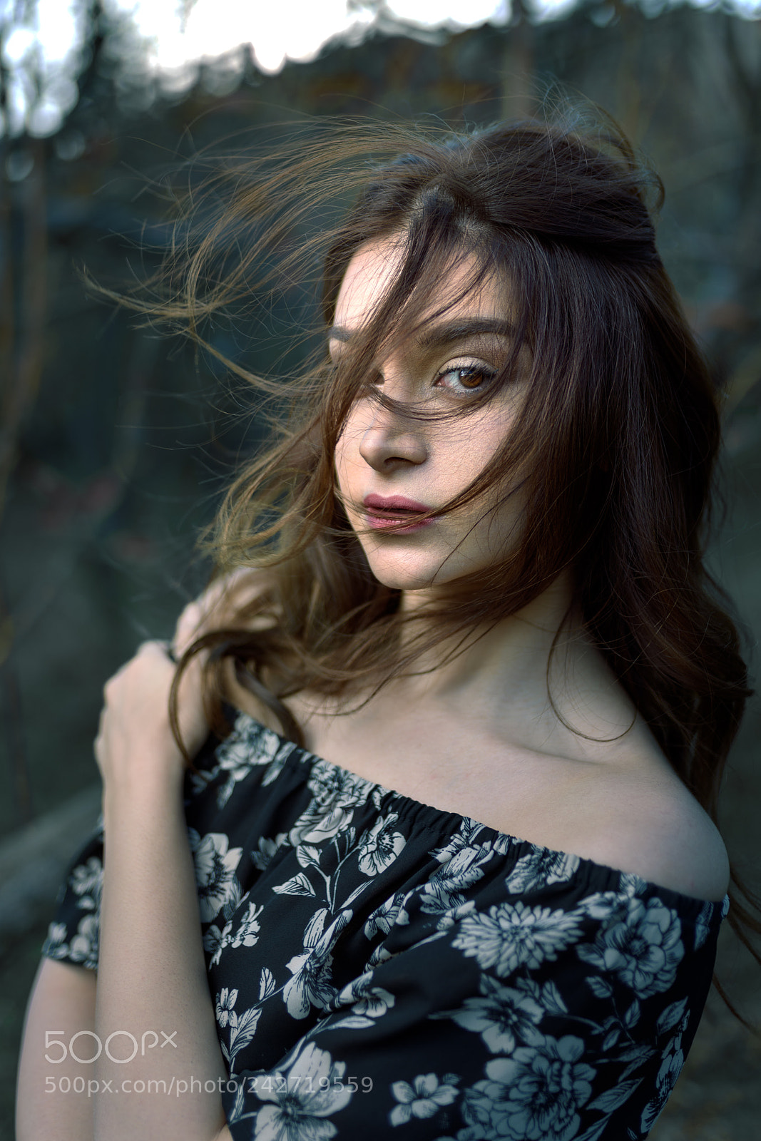 Nikon D810 sample photo. Wind song photography