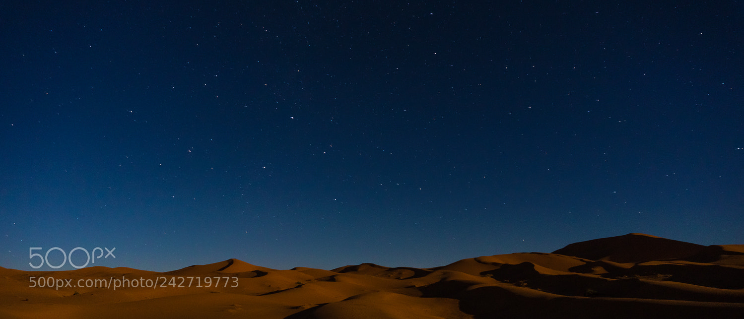 Sony Alpha a5000 (ILCE 5000) sample photo. Sahara ii photography