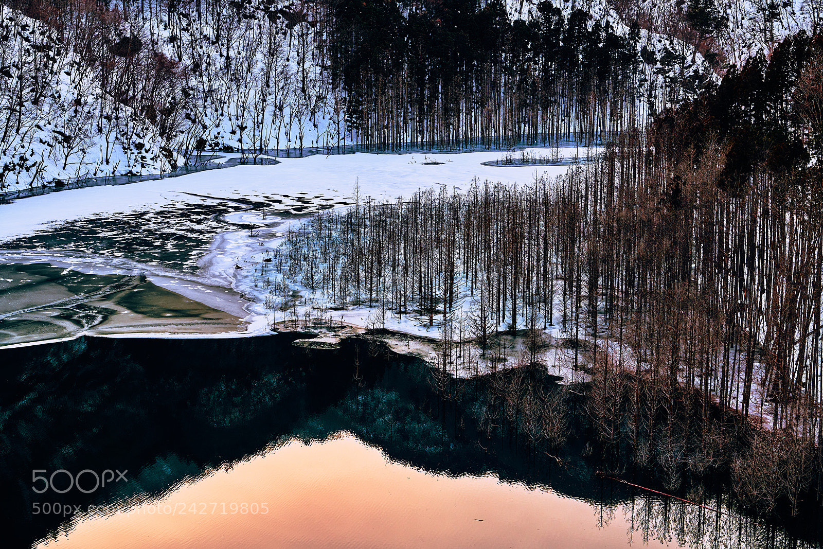 Nikon D850 sample photo. Silent lake photography