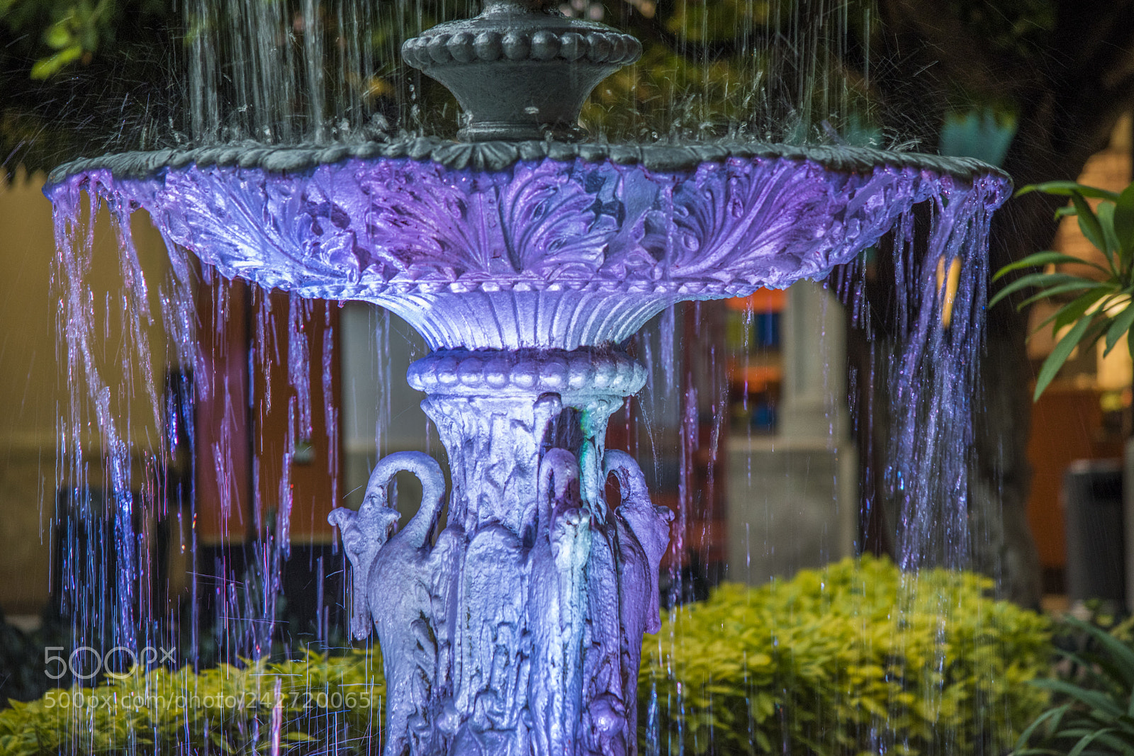 Nikon D5500 sample photo. Water photography