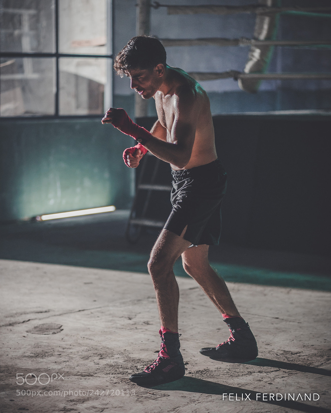 Sony a7 II sample photo. Shadow boxing photography