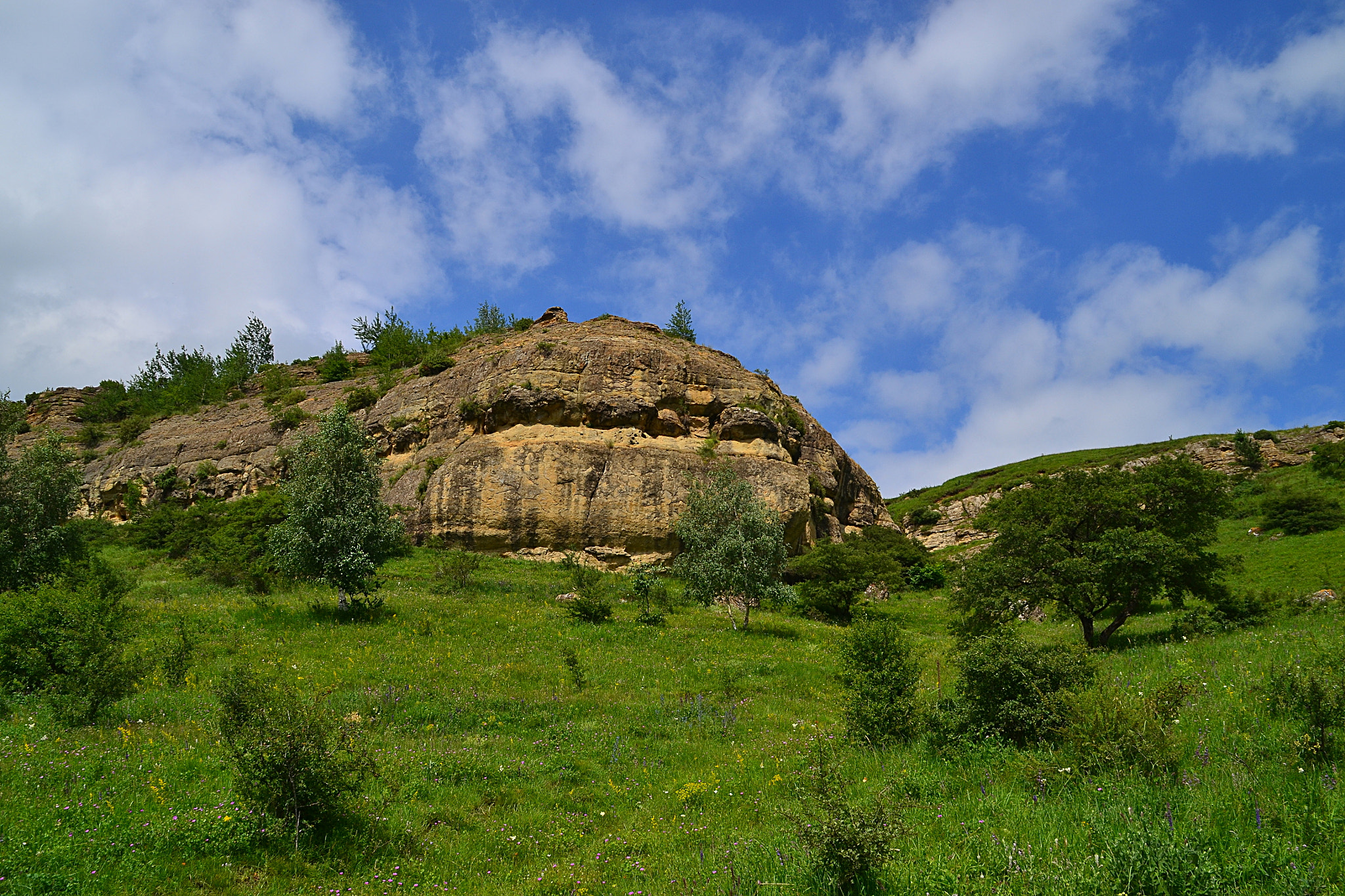 Nikon D3100 sample photo. Reminding a savanna photography