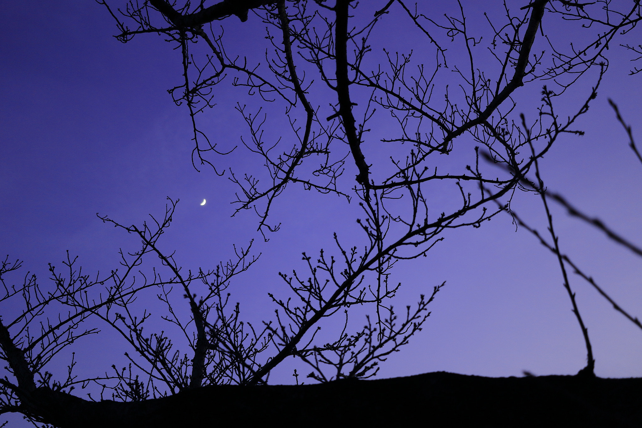 Canon EF-S 24mm F2.8 STM sample photo. Road to the moon photography