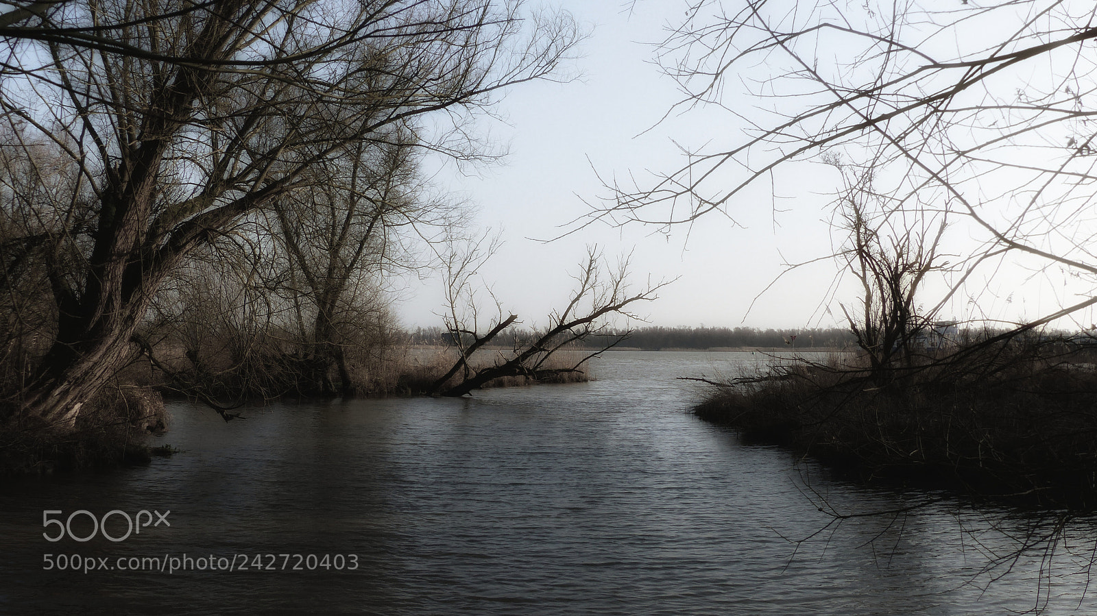 Panasonic Lumix DMC-FZ200 sample photo. Beneden merwede photography