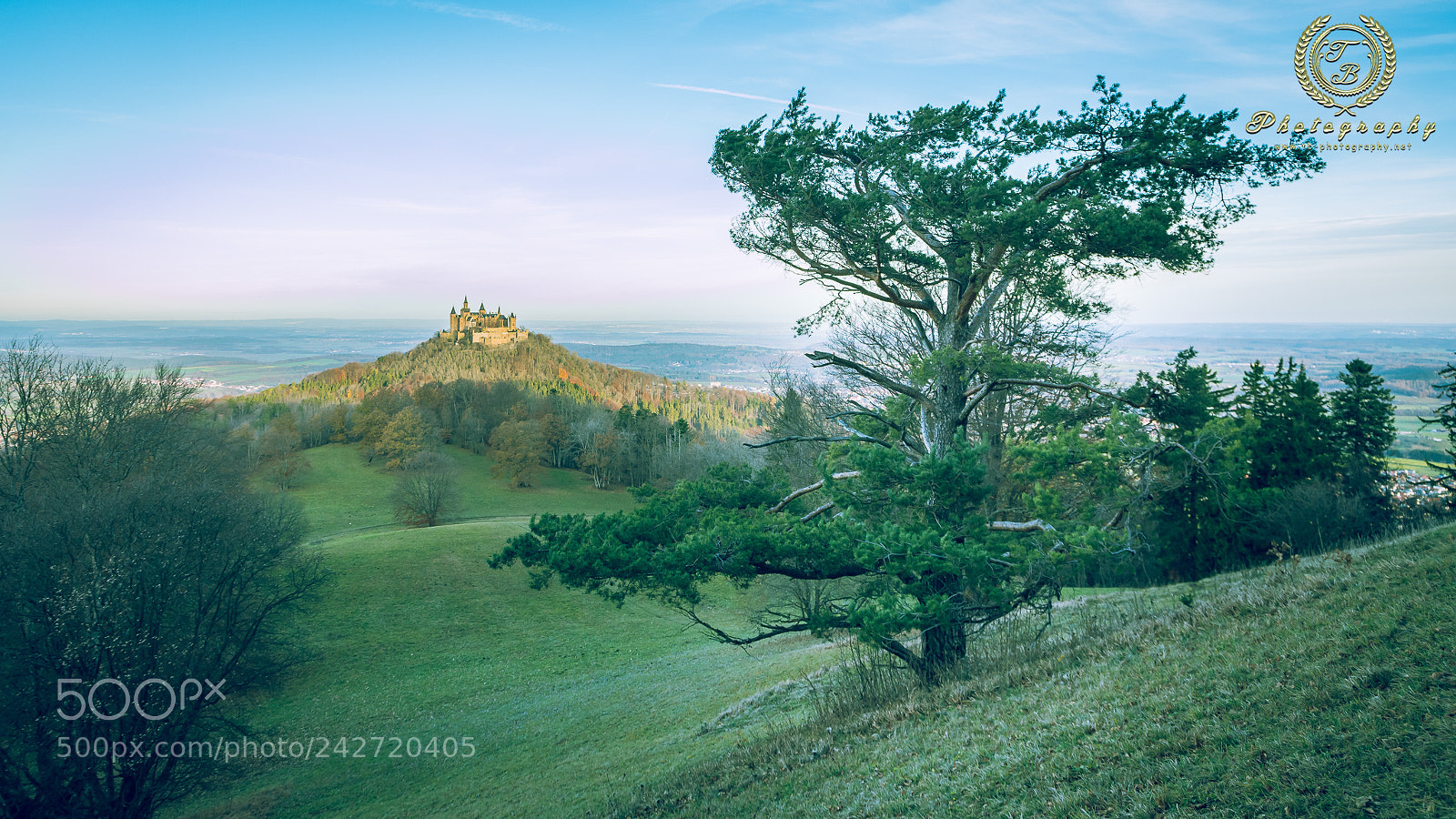 Nikon D7200 sample photo. Burg hohenzollern photography