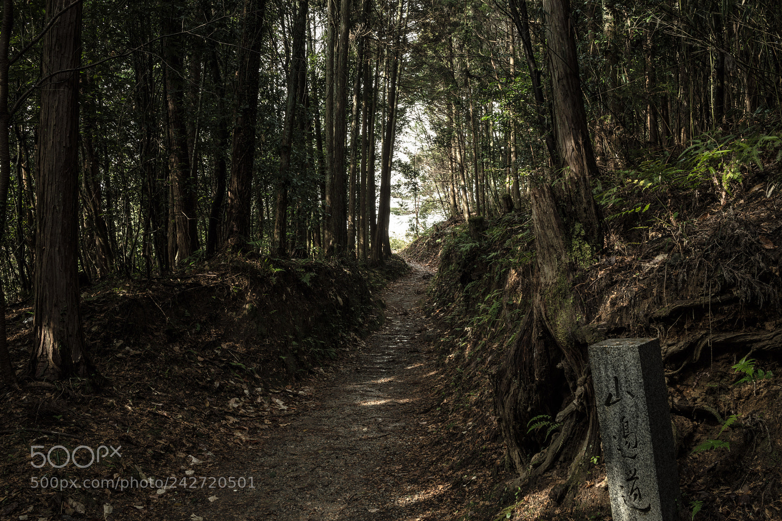 Sony Cyber-shot DSC-RX1R sample photo. Time travel photography