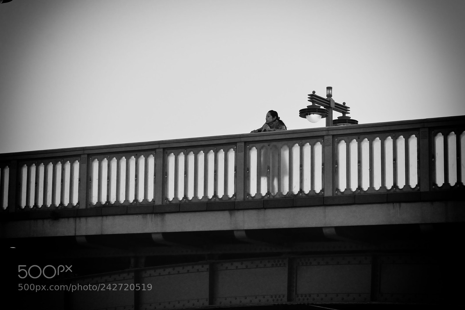Nikon D600 sample photo. Bridge photography