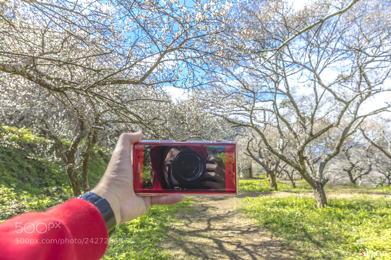 Canon EOS 5DS sample photo. 看見自己的瘋狂 photography