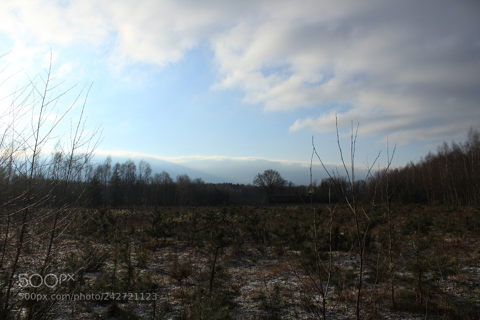 Canon EF-S 18-55mm F3.5-5.6 III sample photo. Untitled photography