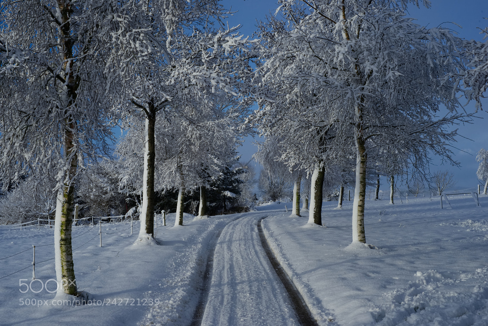 Sony SLT-A99V sample photo. Driveway covered in snow photography