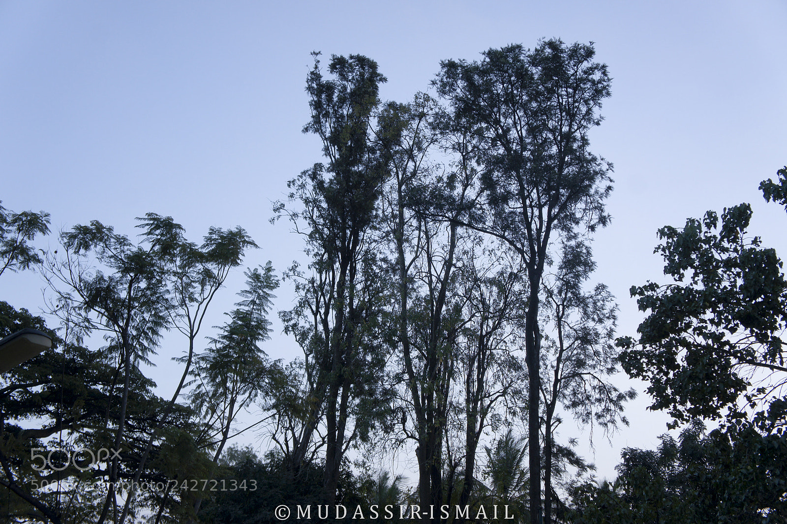 Sony Alpha NEX-3 sample photo. Pleasent evening photography