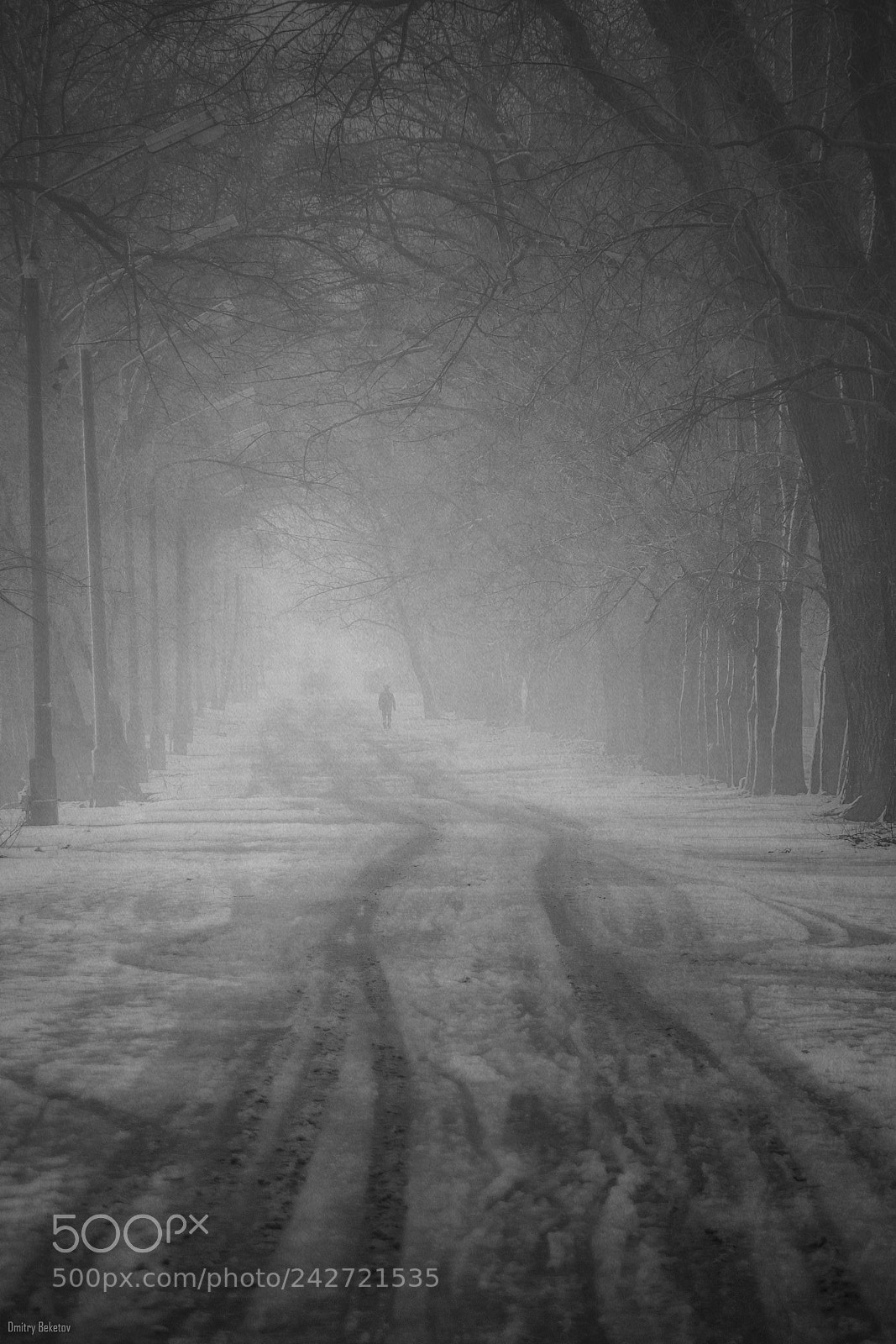 Sony SLT-A65 (SLT-A65V) sample photo. Morning in the fog photography