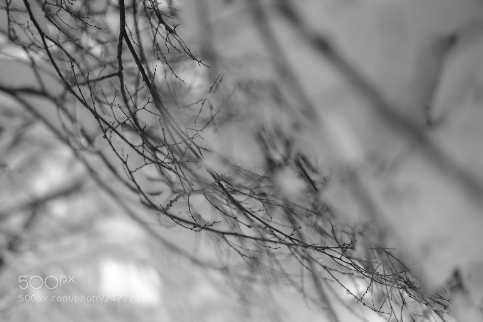 Fujifilm X-Pro2 sample photo. Untitled photography