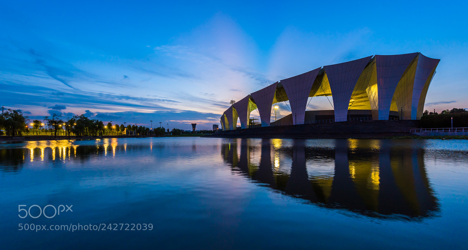 Nikon D810 sample photo. Swimming stadium oriental sports photography