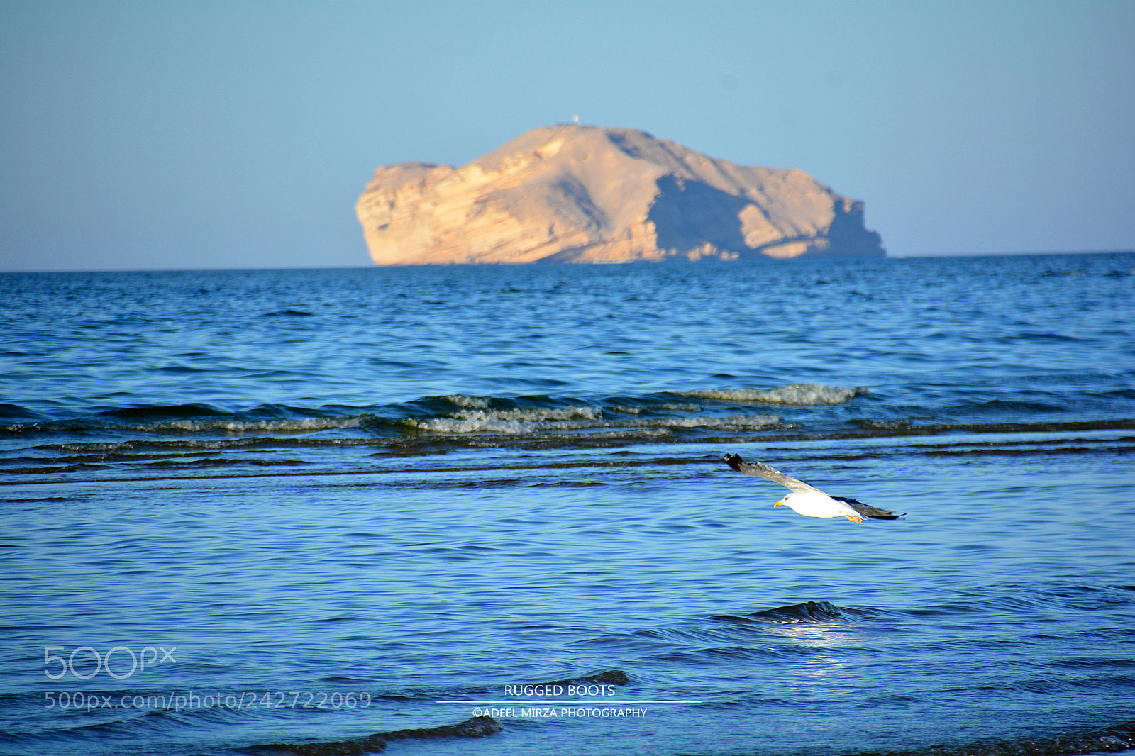 Nikon D7100 sample photo. Flight photography