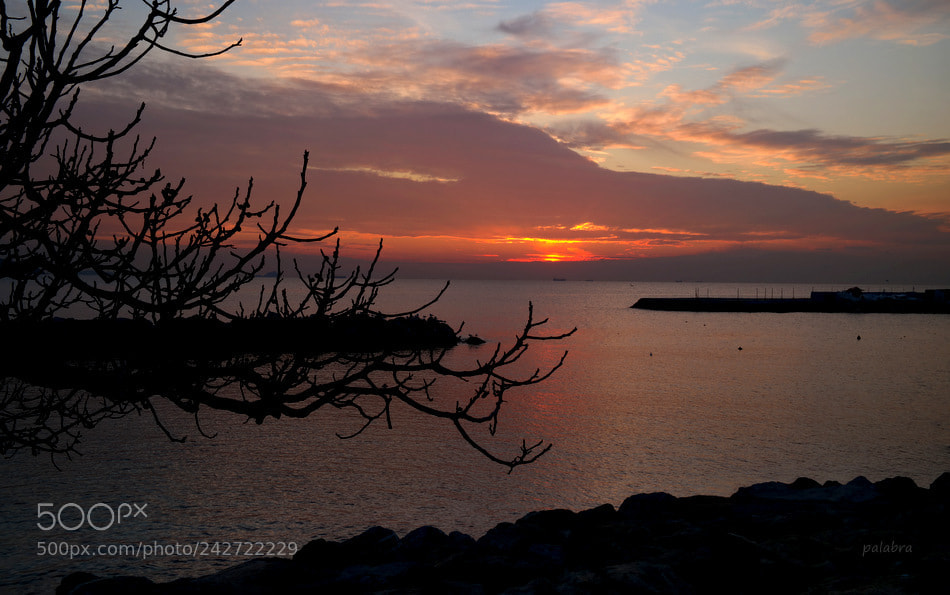 Samsung NX30 sample photo. ... photography