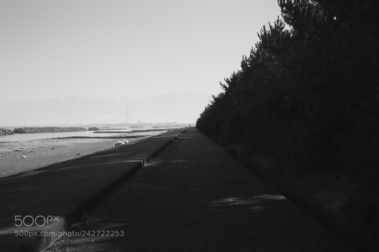 Fujifilm X-Pro2 sample photo. Untitled photography