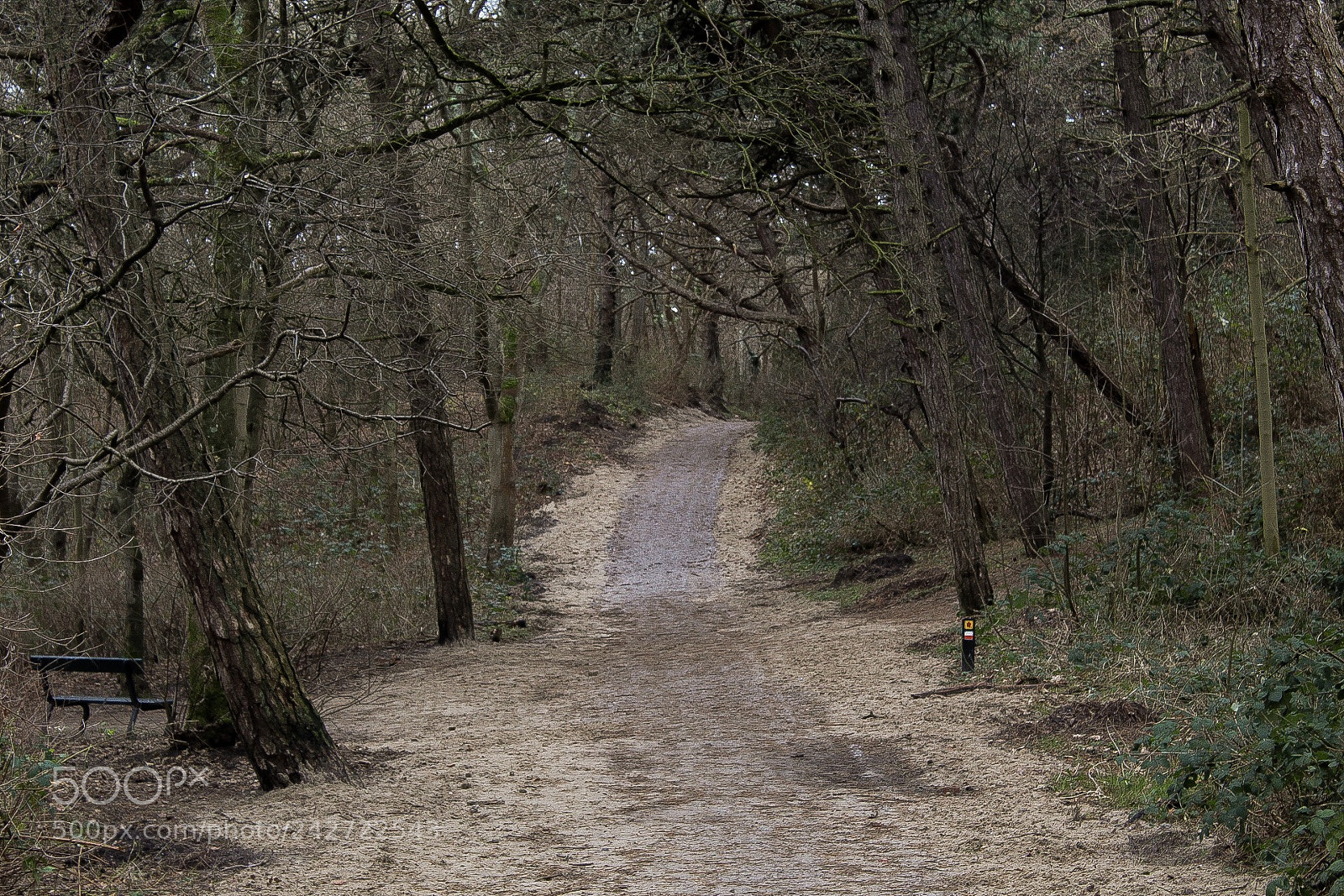 Canon EOS 1300D (EOS Rebel T6 / EOS Kiss X80) sample photo. Empty path photography