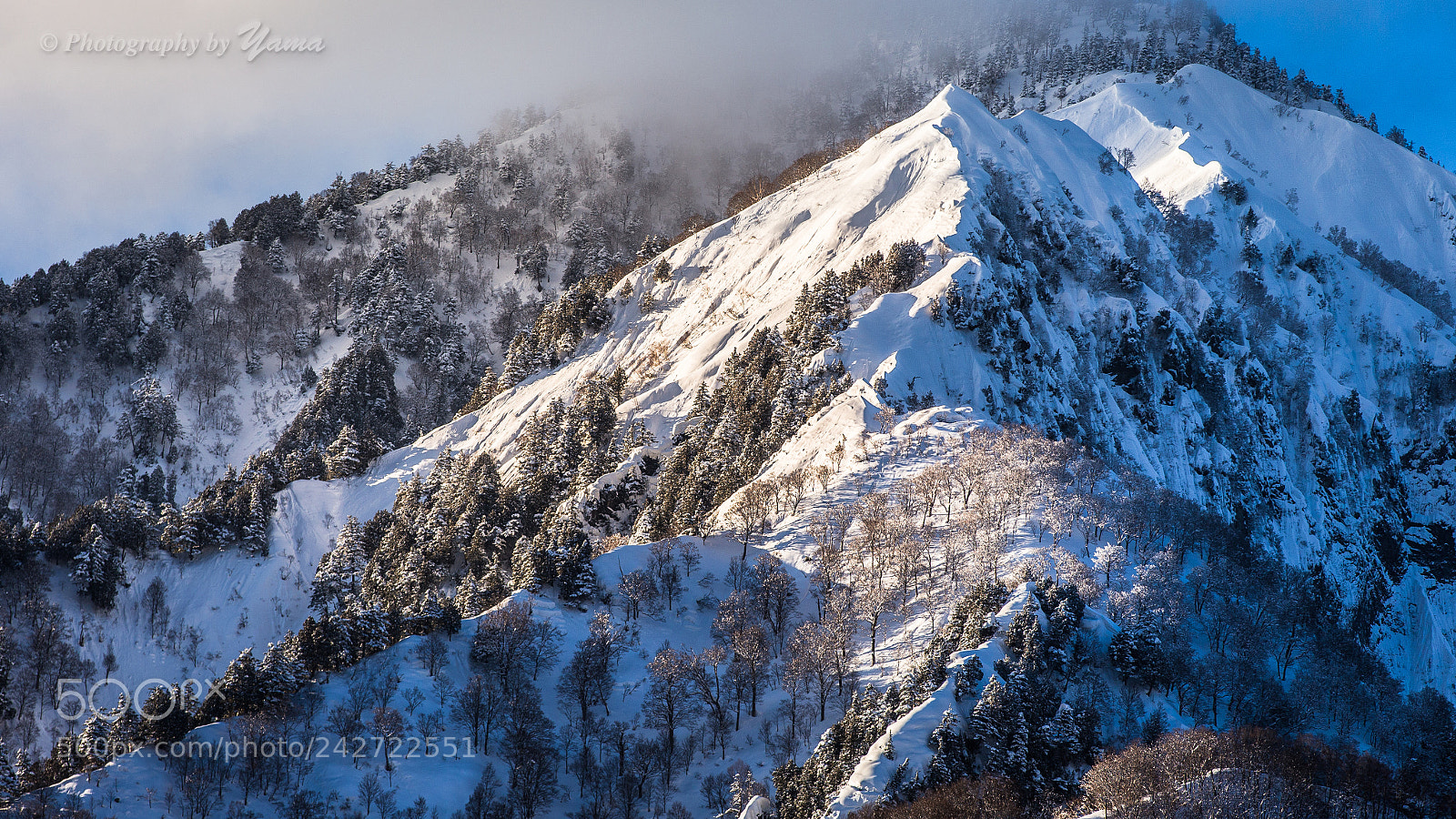 Canon EOS-1D X sample photo. 鳥甲山 photography