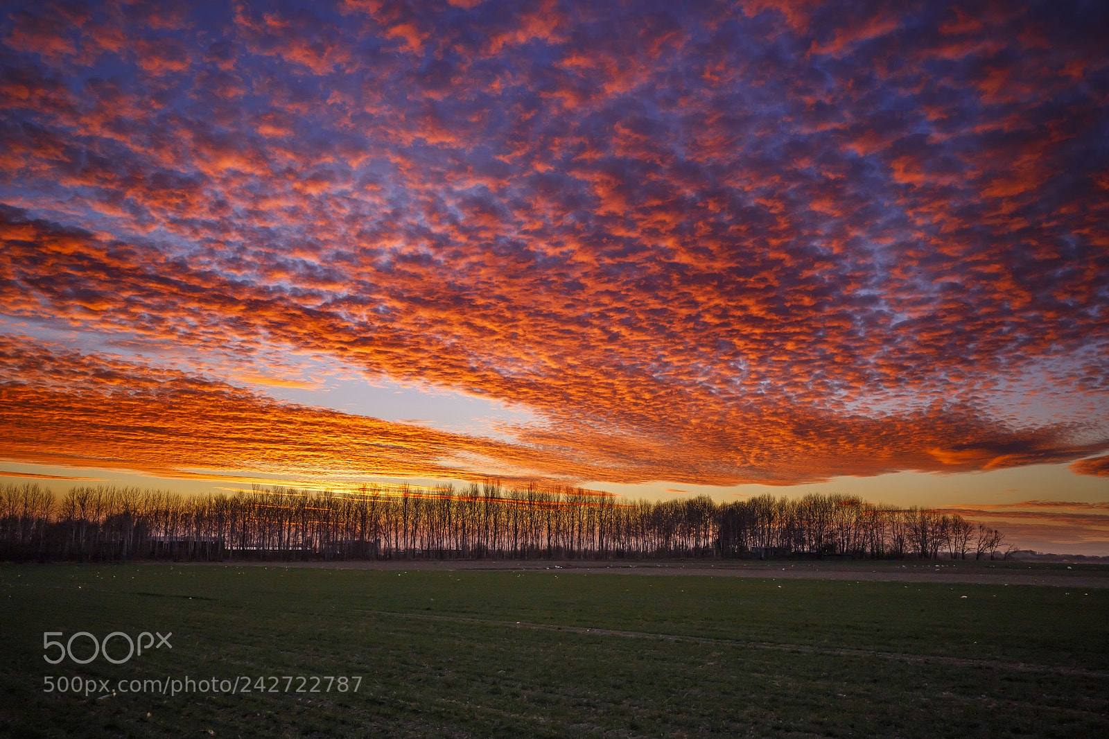 Canon EOS 6D Mark II sample photo. Sunset in farmland. photography