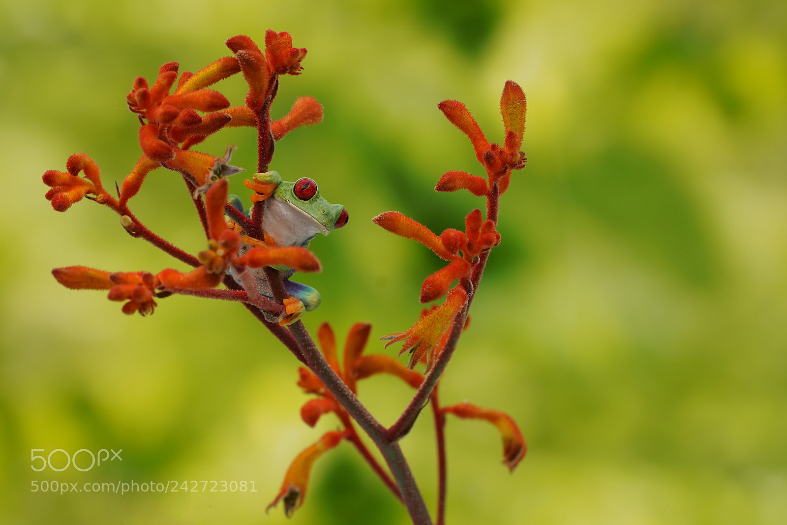 Sony a7R III sample photo. Dsc photography